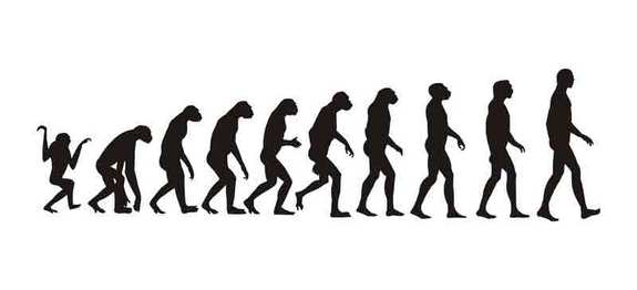 Evolution