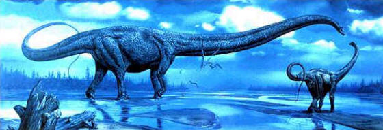 Mamenchisaurus has the longest neck, at around 46 feet, of any dinosaur found so far. Such height could afford plant-eating dinosaurs a better reach into the foliage of trees.