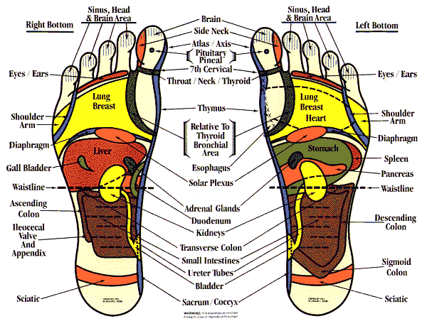 Reflexology