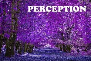 Perception